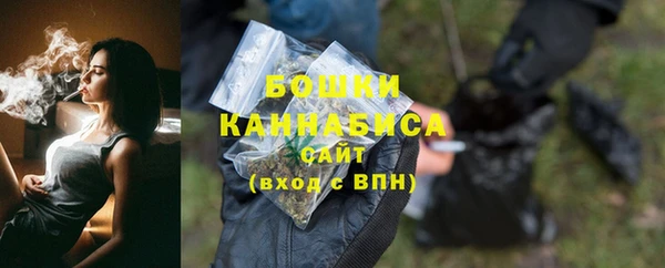 молекула духа Богородицк