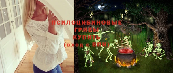 молекула духа Богородицк