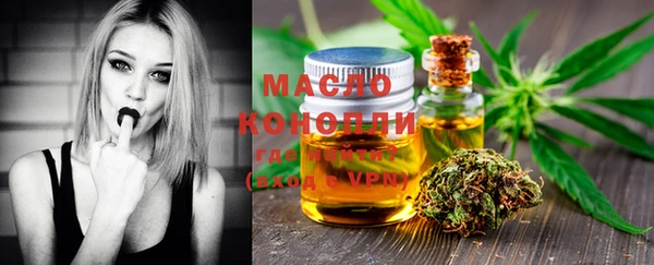 молекула духа Богородицк