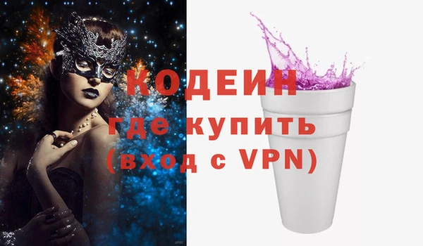 молекула духа Богородицк
