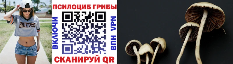 Галлюциногенные грибы ЛСД  Кологрив 